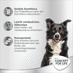 Concept for Life Prebiotic Snack su vištiena, skanėstai šunims — 3 nuotrauka