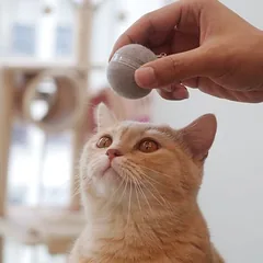Cheerble elektroninis žaislas katėms Wicked Ball, pilkas, 1 vnt. — 3 nuotrauka