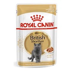 Royal Canin British Shorthair konservai katėms padaže