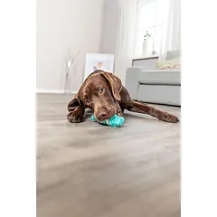 TRIXIE Denta Fun kaulas, mėtų skonio, nat.guma, 15 cm, 1 vnt. parduotuvėje Petz.lt