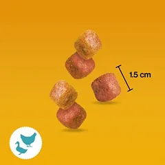 Pedigree skanėstai šunims: kramtomieji kąsneliai su višta ir antiena ir mini kąsneliai su sūriu ir jautiena, ekonominė pakuotė — 4 nuotrauka