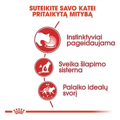 Royal Canin Instinctive in Souce šlapias maistas katėms 24x85g — 4 nuotrauka