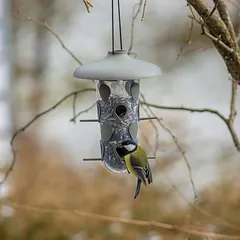 Plastmasinė lesyklėlė Robin 2in1 su euro užuolaida (žalia) — 5 nuotrauka