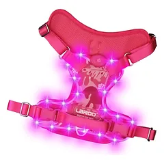 Šunų petnešos FLASHING SPOT, įkraunamos USB