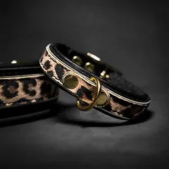 Bestia Welpenhalsband Leopard