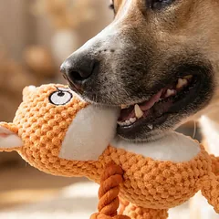 Pliušinis lapės žaislas šunims Happet, 23 cm, minkštas ir patvarus — 3 nuotrauka