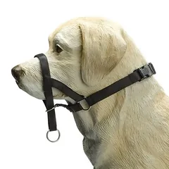 Beeztees Nasenband Dog Control schwarz