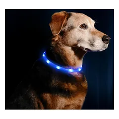 TRIXIE LED ĮKRAUNAMAS ŠVIEČIANTIS antkaklis USB, silikonas, XS-XL 70cm/10mm, mėlynas