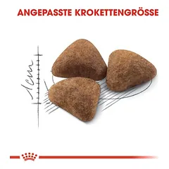 Royal Canin Indoor sausas maistas katėms, > 10 kg — 4 nuotrauka