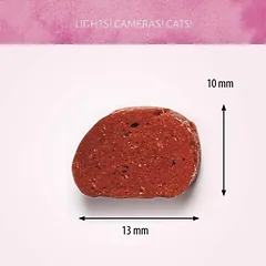 ANTOS Spiced Lamb skanėstai katėms su ėriena 50g (12) — 2 nuotrauka