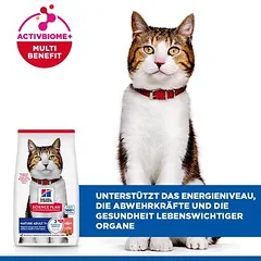 Hill's Science Plan Mature Adult 7+ su lašiša, sausas maistas katėms, > 10 kg — 4 nuotrauka