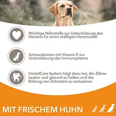 IAMS Advanced Nutrition Senior Large Dog 7+ su vištiena, sausas maistas šunims, > 10 kg — 4 nuotrauka