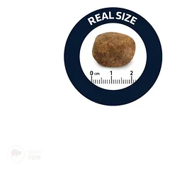 Advance Labrador & Golden Retriever Adult 11.5kg Sausas Pašaras Labradorų ir Auksaspalvių Retriverių veislės šunims — 3 nuotrauka