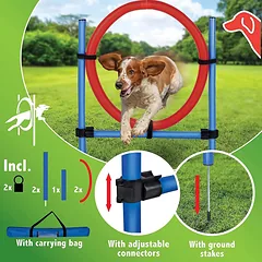 Šuns žaislas PET TOYS 871125247432 Šokinėjimo žiedas 85x3 cm — 2 nuotrauka