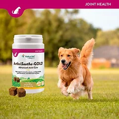NaturVet ArthriSoothe-Gold skanėstai, papildas šunims, 120 kramtukų — 5 nuotrauka
