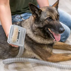 Trixie kailio siurblys su kirpimo mašinėle, šukų ir kitų papildomų antgalių rinkiniu, 2 L, 600 W, baltas — 3 nuotrauka