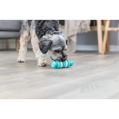TRIXIE Denta Fun kaulas, mėtų skonio, nat.guma, 15 cm (pak.3) — 4 nuotrauka