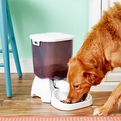 Cat Mate automatinė gyvūnų šėrykla, 3 kg — 2 nuotrauka