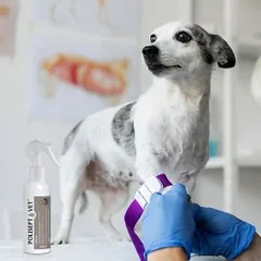 Polisept Vet Spray antiseptinis purškalas gyvūnams, 200 ml — 3 nuotrauka