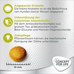 Concept for Life Mini Sensitive, 1,5 - 2,9 kg — 5 nuotrauka