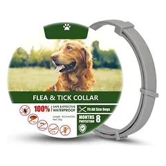 IntiMeg Floh- und Mückenschutzhalsband für Hunde