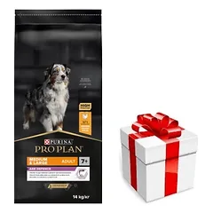 PRO PLAN Age Defence Adult vištienos turtingas maistas šunims 14kg + STAIGMENA ŠUNIUI