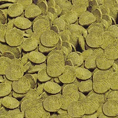 Sera Žuvų maistas: Catfish Chips, 15g — 2 nuotrauka