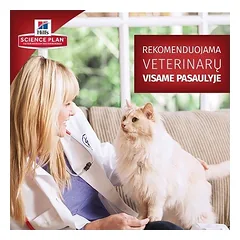Hill's Science Plan Adult Lamb sausas maistas su ėriena katėms, 10 kg — 4 nuotrauka