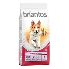 Briantos Adult su lašiša ir ryžiais, sausas maistas šunims