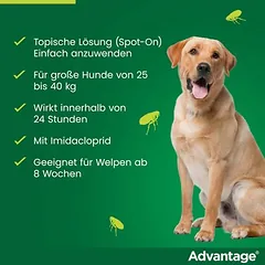 Advantage® 400 šunims, nuo 25 kg, Ekonominė pakuotė: 2 x 4 pipetės x 4,0 ml — 2 nuotrauka