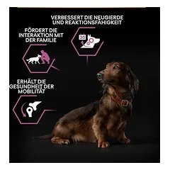 PURINA PRO PLAN Small & Mini Adult 9+ Age Defence sausas maistas šunims — 5 nuotrauka