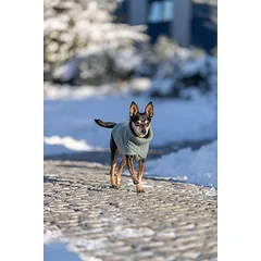 Trixie CityStyle Berlin megztinis, XS: 24 cm, šalavijo