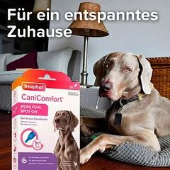 beaphar CaniComfort Spot-On gerai savijautai šunims, 3 pipetės x 1 ml — 4 nuotrauka