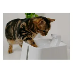 Placek Cat Epic Pet Zen automatinė girdykla gyvūnams, vandens fontanas 2,4 l / 20 cm — 3 nuotrauka