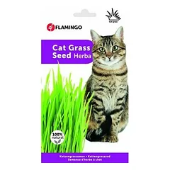 Flamingo Cat Grass Seed — 2 nuotrauka
