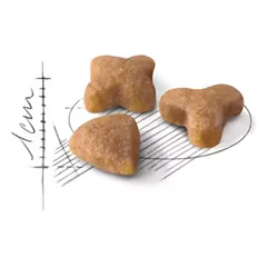 ROYAL CANIN FHN Cat Sensible sausas maistas suaugusioms katėms, jautriam virškinimui 10 kg — 2 nuotrauka