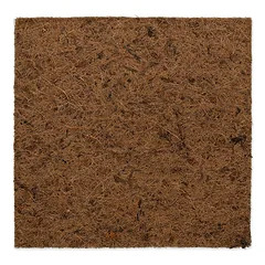 REPTI PLANET plokščias kokosų fonas 30x30cm terariumui