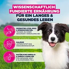 Eukanuba Premium Nutrition Puppy Medium Breed su vištiena, sausas maistas šuniukams, 3 - 4,9 kg — 5 nuotrauka