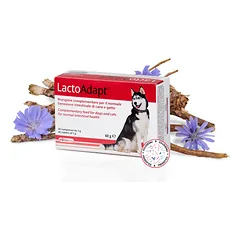 DOGOTEKA LactoAdapt 60 tabl.