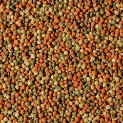 Tropical Pond Pellet Mix S maistas tvenkinių žuvims 1000 ml — 2 nuotrauka