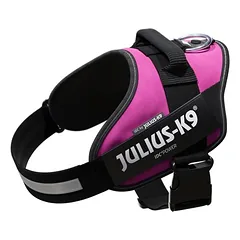 Julius-K9 IDC Power petnešos, tamsiai rožinės, Vidutiniams 11–25 kg — 5 nuotrauka