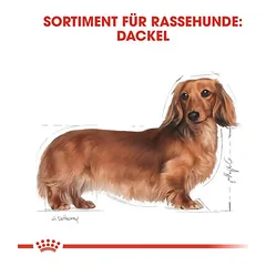 Royal Canin Dachshund Adult drėgnas maistas, papildantis sausą maistą šunims, 80 - 99 g — 3 nuotrauka