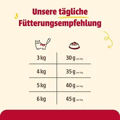 animonda Carny Adult Fine Fillets drebučiuose 12 x 60 g, drėgnas maistas katėms — 5 nuotrauka