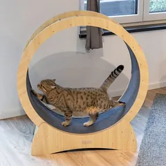 Kerbl Pet Katzenlaufrad