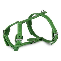 Das Lederband Geschirr Barcelona Summer-Green