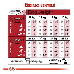 ROYAL CANIN Medium Adult sausas pašaras šunims, 15 kg — 3 nuotrauka
