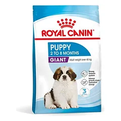 Royal Canin Giant Puppy sausas maistas šunims — 2 nuotrauka