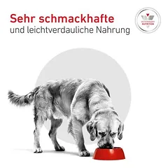 Royal Canin Veterinary Canine Glycobalance sausas maistas šunims, > 10 kg — 4 nuotrauka