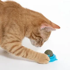zooplus Basics žaislas katėms, katžolės kamuoliukas, 5 x 5 x 4 cm, mėlyna — 3 nuotrauka