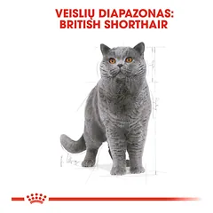 ROYAL CANIN FBN British Shorthair sausas maistas Britų trumpaplaukėms katėms 2 kg — 2 nuotrauka